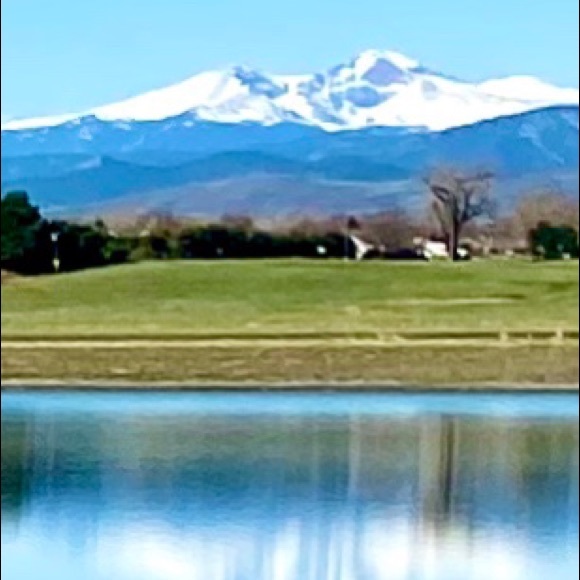 Meet your Posher, Bobbi - Picture 3 of 6